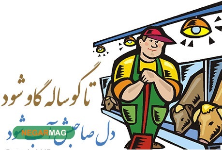 معنی ضرب المثل ایرانی تا گوساله گاو شود،.