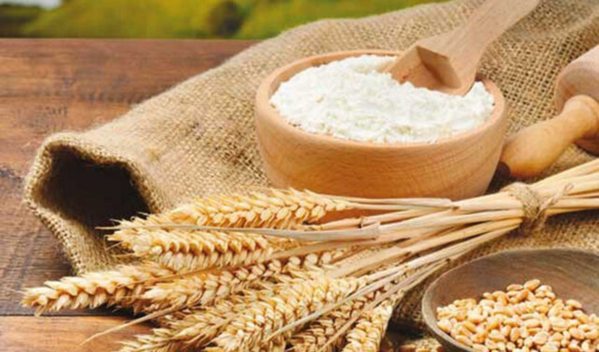 برخی در تلاش برای دو نرخی کردن سبوس و ایجاد رانت هستند