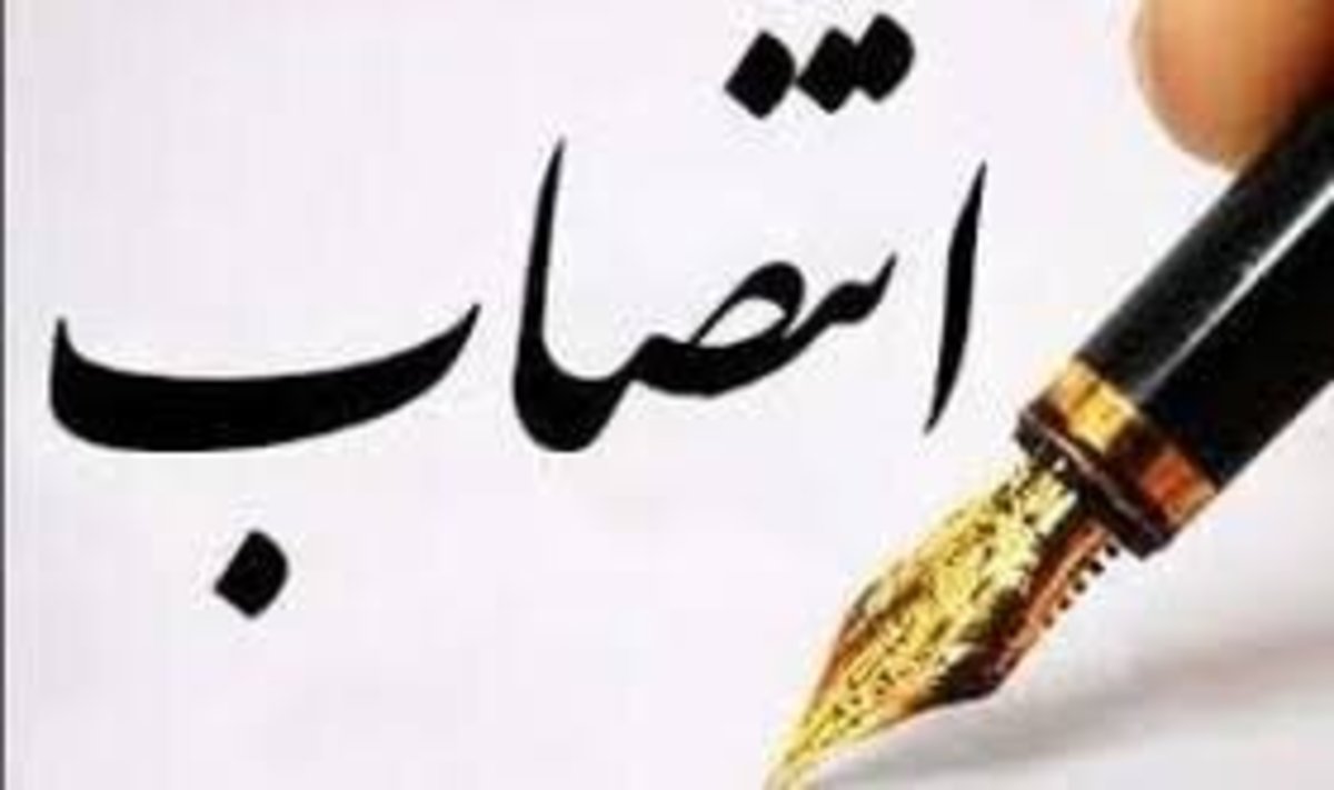 معاون رفاه اجتماعی، وزارت کار و رفاه منصوب شد