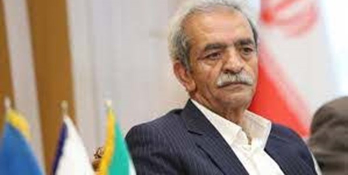 قرارداد تعرفه تجارت ترجیحی با ترکیه خسارت بار بود/ سازمان‌ها ملوک‌الطوایفی اداره می‌شوند