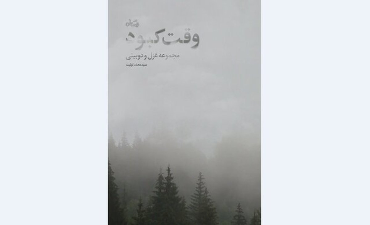 مجموعه شعر «وقت کبود» منتشر شد