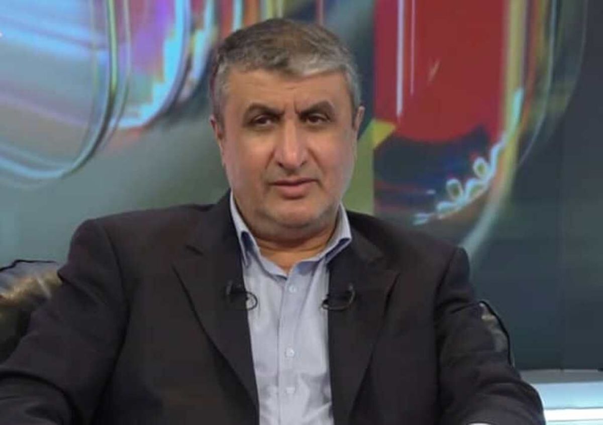 اسلامی: ایران برای اهداف صلح آمیز خود در انرژی هسته‌ای گام برداشته است