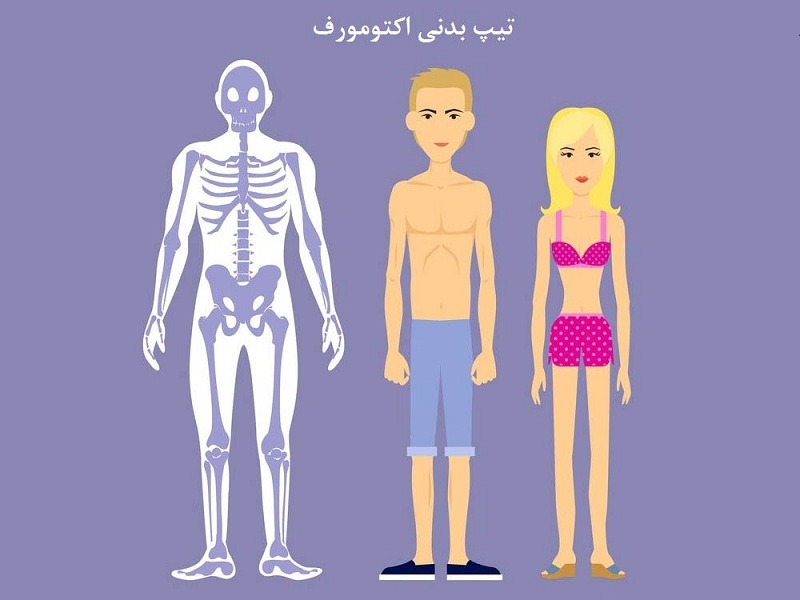 انواع تیپ بدنی برای شناخت استایل بدن