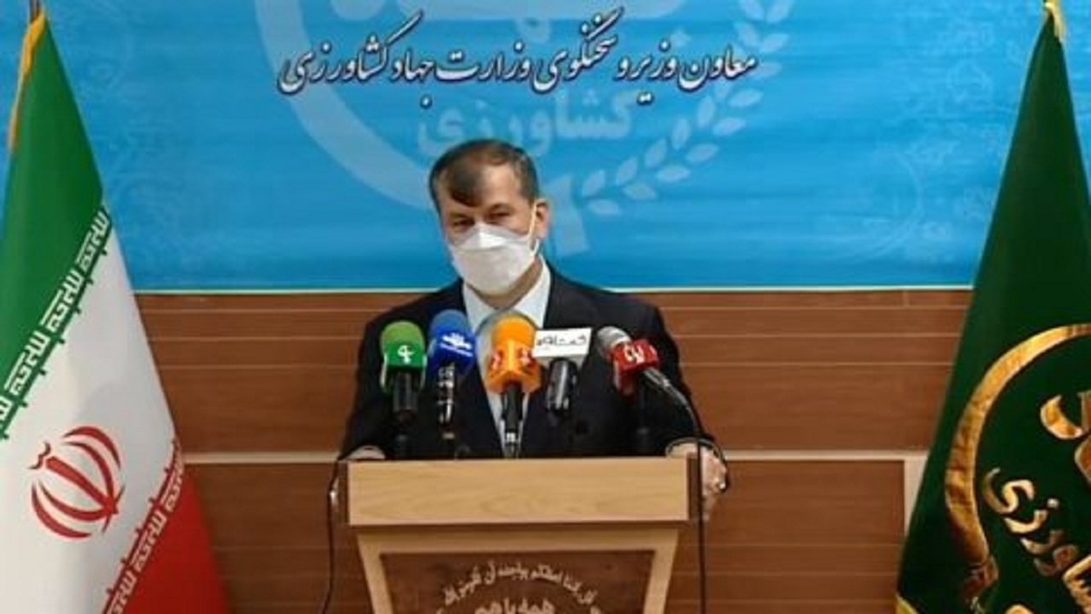 ۳ هزار و ۵۰۰ میلیارد تومان یارانه برای بخش کشاورزی کشور اختصاص یافت
