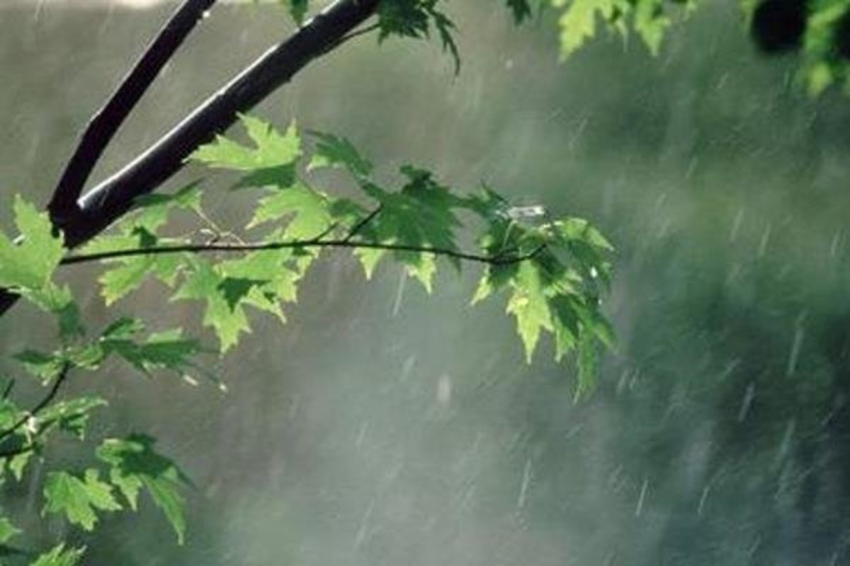 سال آبی با ۳۷ درصد کاهش بارندگی‌ها به پایان رسید