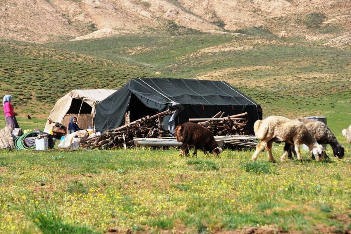 پرداخت سه میلیارد تومان تسهیلات به عشایر استان تهران