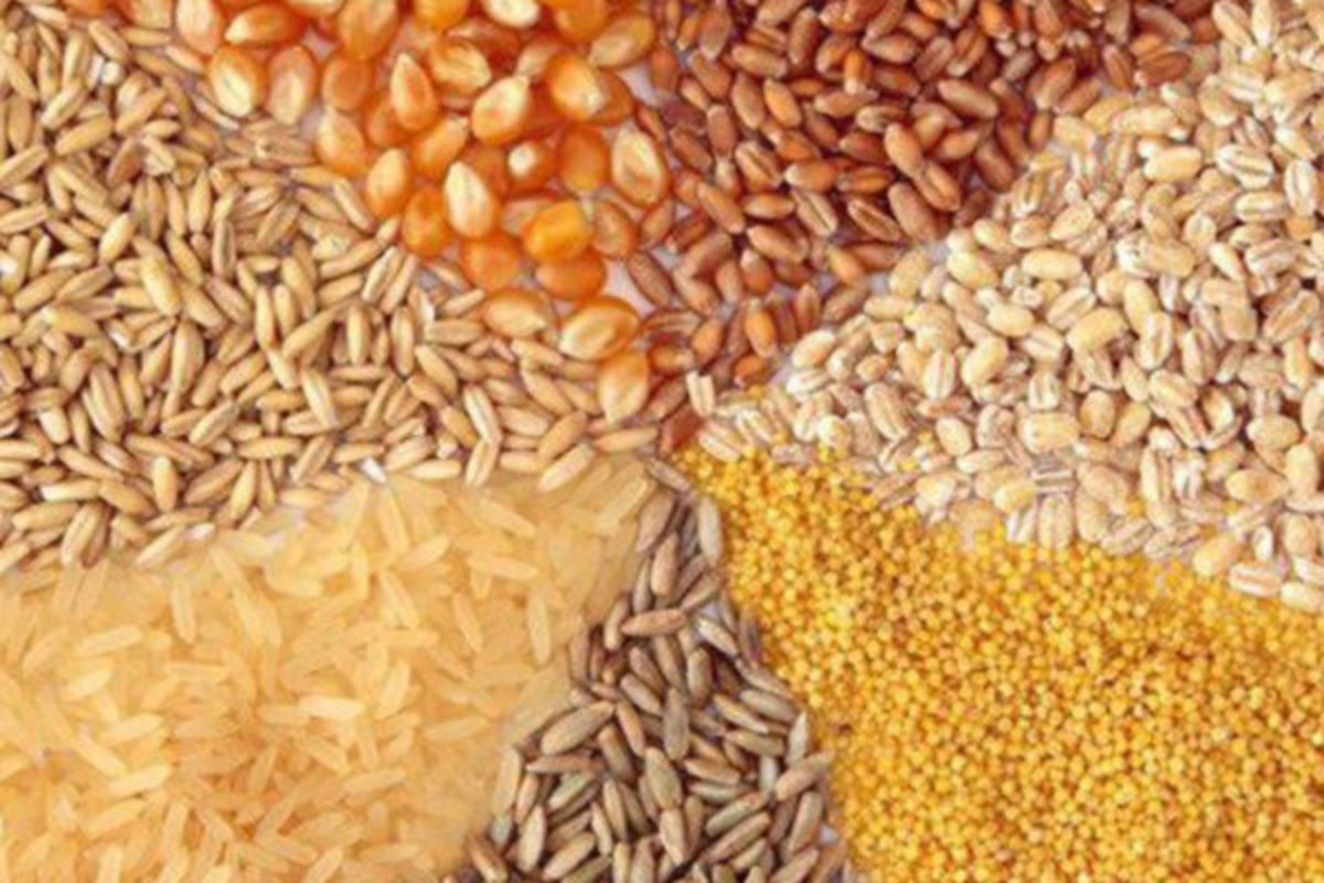 نهاده‌های دامی چگونه سر از بازار آزاد در می‌آورند؟