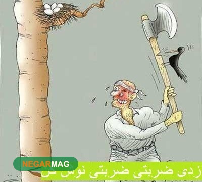 ضرب المثل زدی ضربتی، ضربتی نوش کن