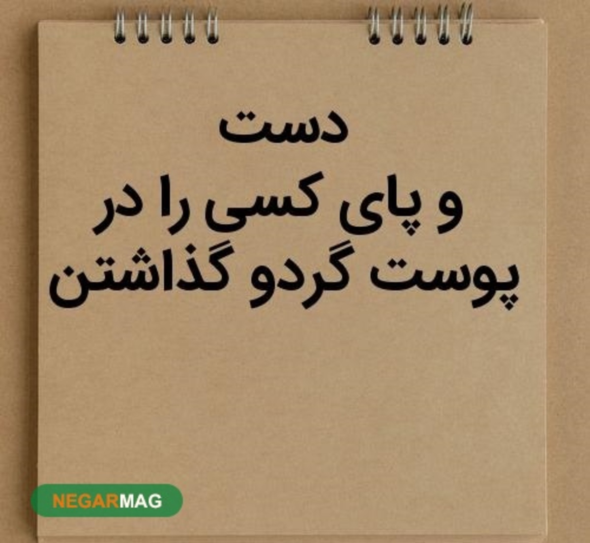 ضرب المثل دست کسی را در پوست گردو گذاشتن