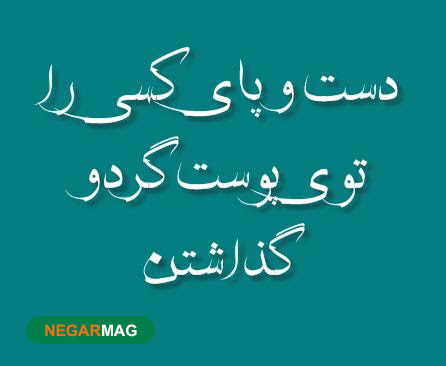 ضرب المثل دست کسی را در پوست گردو گذاشتن