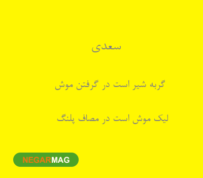 ضرب المثل گربه شیر است در گرفتن موش