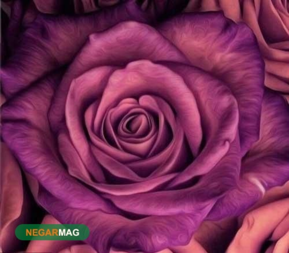 توضیح و مفهوم ضرب المثل هر گلی زدی سر خودت زدی