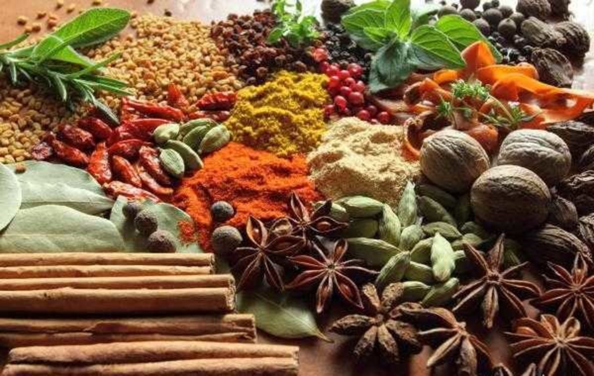بررسی اقتصاد و تجارت گیاهان دارویی در یک کنگره علمی