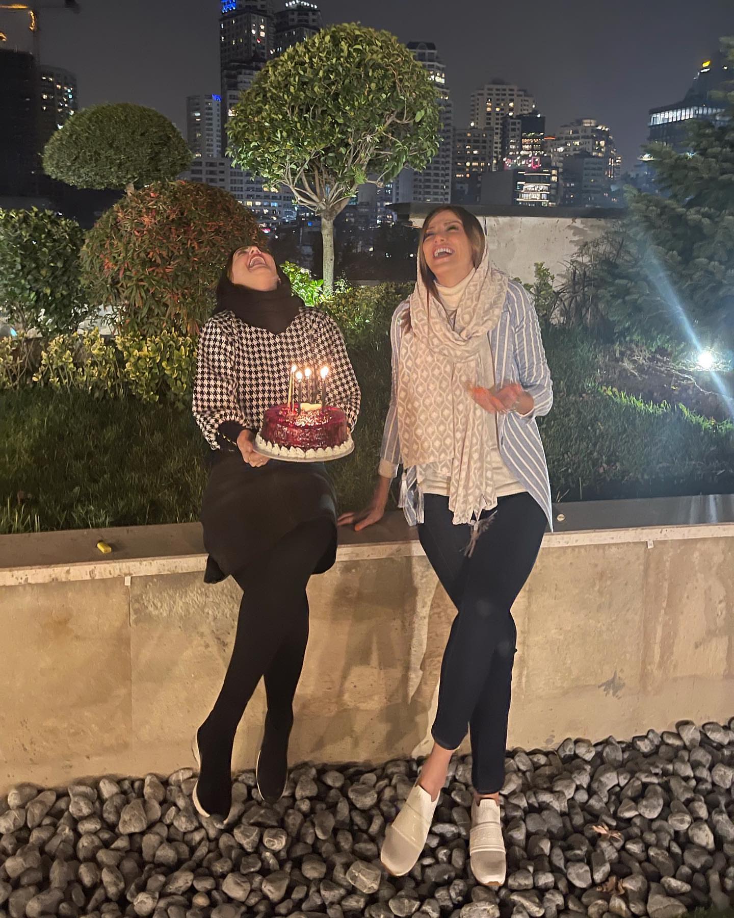 شقایق دهقان: تولدت مبارک سى سى، تولدت مبارک بنفشه وحشى