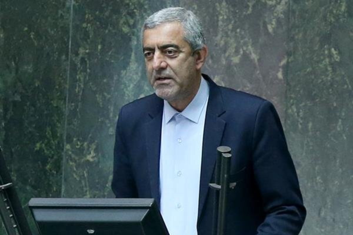انصاری: مجلس یازدهم اراده‌اش در راستای اجرای سیاست‌های جمعیتی را آشکار کرد