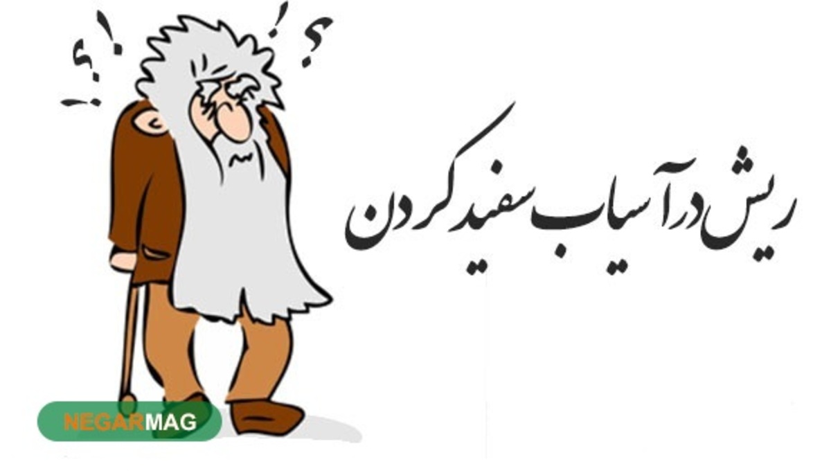 مفهوم ضرب المثل موهامو تو آسیاب سفید نکردم