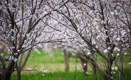 آشنایی با روستای گردشگری وانشان