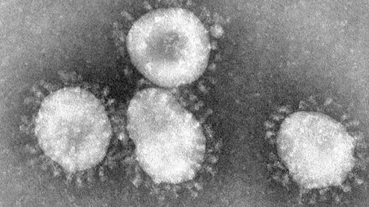 جون آلمیدا، ویروس‌شناس اسکاتلندی کاشف اولین ویروس کرونا