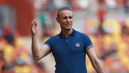 بیوگرافی یحیی گل محمدی