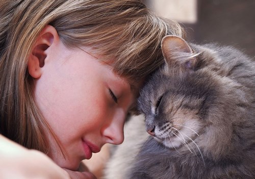 آیا گربه‌ها باعث ناباروری انسان می‌شوند؟ ۵ بیماری که از گربه‌ها به انسان منتقل می‌شود