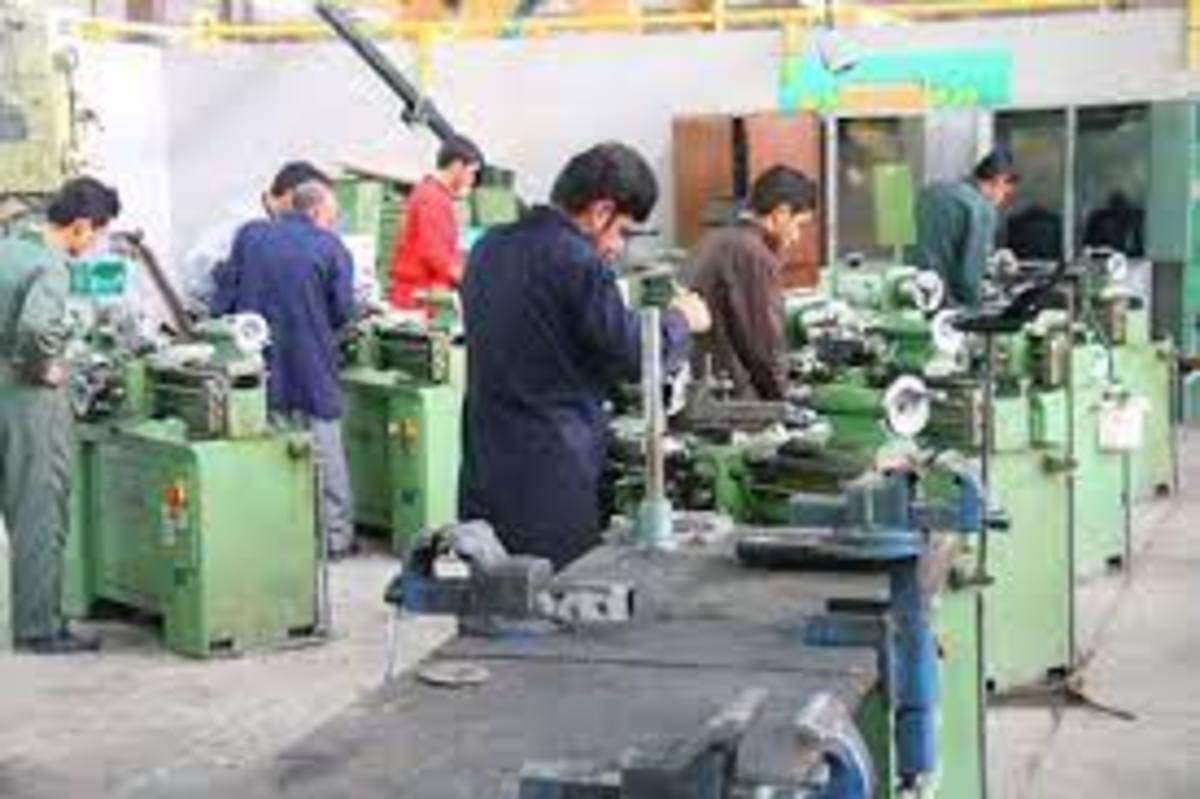 جامعه جوانان وزارت ورزش؛ از کارگاه‌های آموزشی تا حمایت از اشتغال
