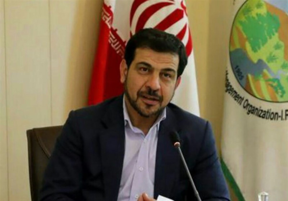 تشکیل ستاد ملی حمایت از جنگل‌های زاگرس به ریاست معاون اول رئیس‌جمهور