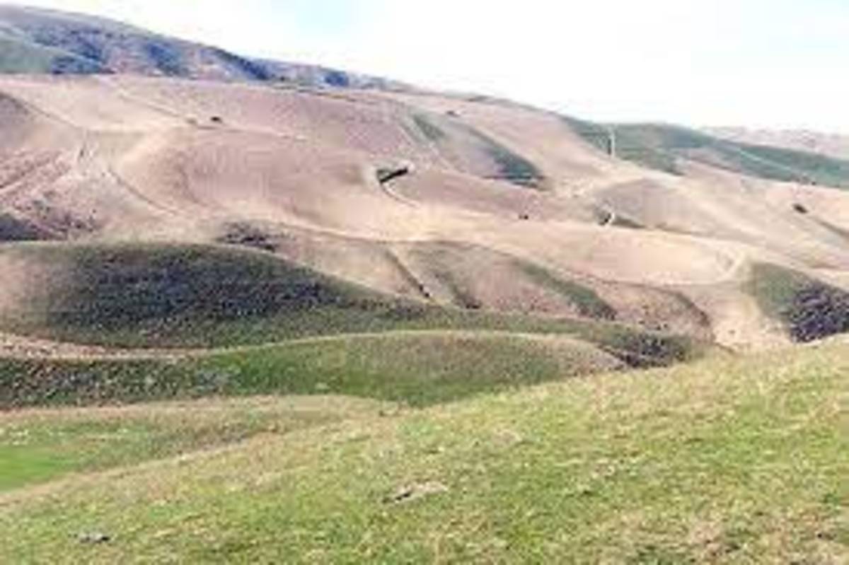 سند ۶۷۷۲ هزار هکتار از اراضی ملی عسلویه به نام دولت صادر شد