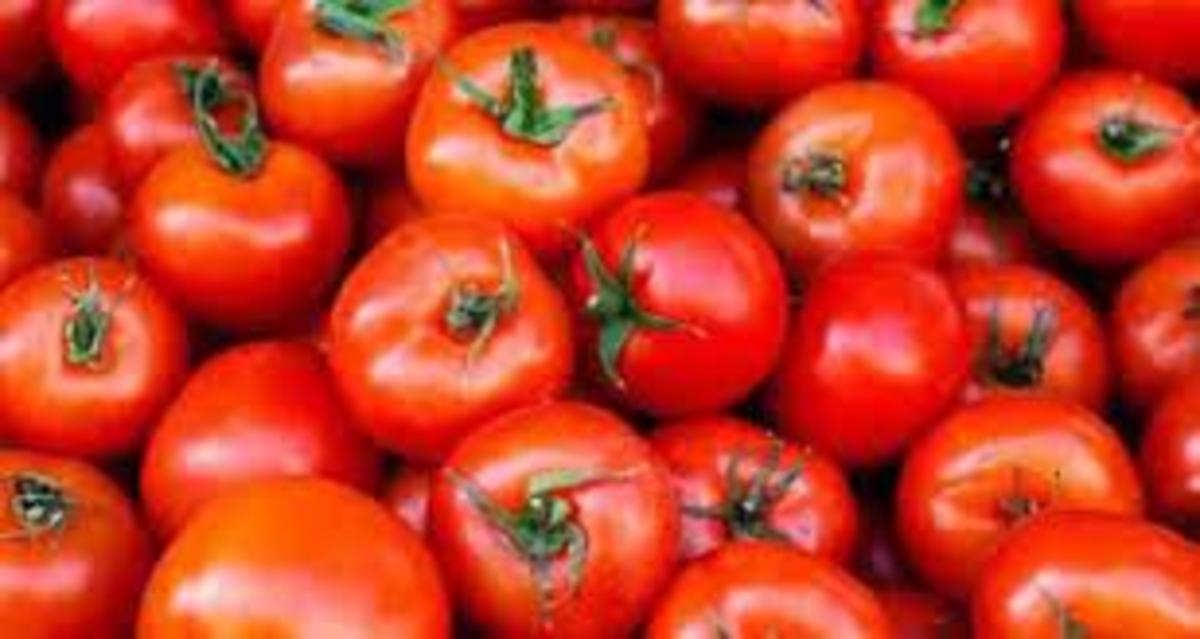 قیمت گوجه فرنگی به بیش از ۱۶ هزار تومان رسید