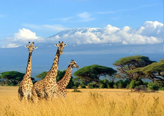 شگفت‌انگیزترین مکان‌های قاره‌ی آفریقا