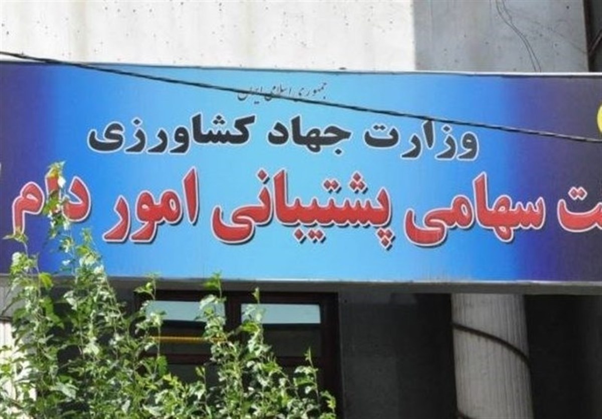 عرضه گوشت گوسفندی ۱۱۷ هزار تومانی در میادین میوه و تره بار تهران