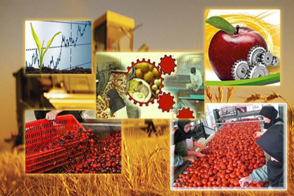 سهم صنایع غذایی از صادرات غیرنفتی چقدر است؟