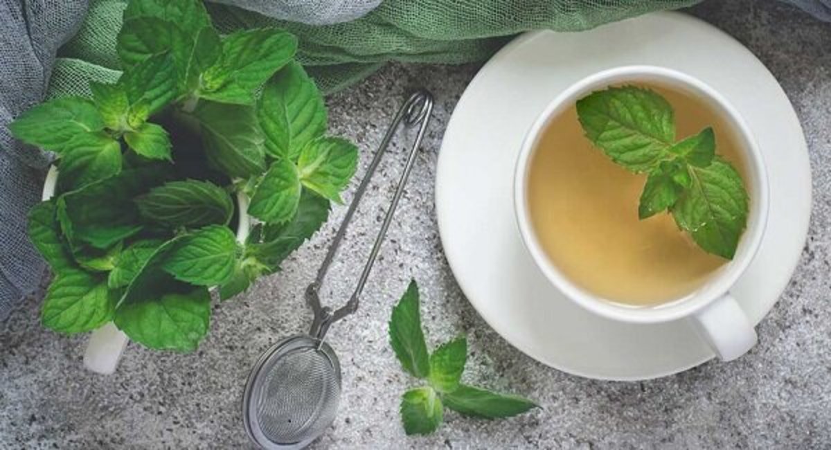 دمنوش نعنا برای روزه داران فراموش نشود