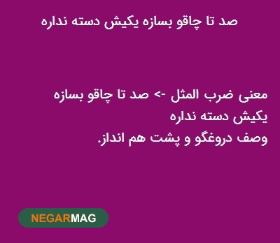 ضرب المثل ” صد تا چاقو بسازه، یکیش دسته نداره “