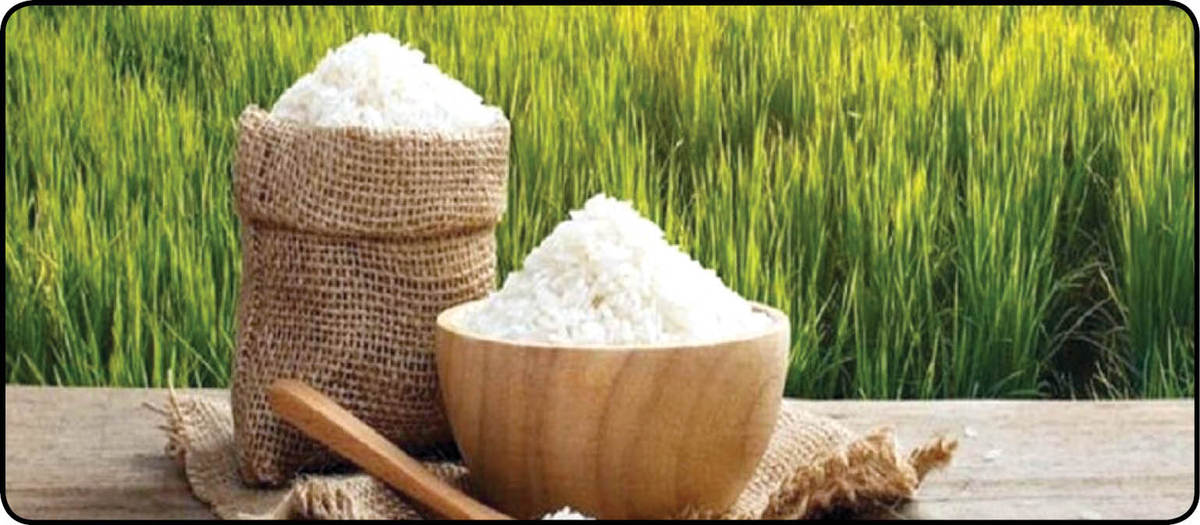 برنج هسته‌ای با طعم محلی