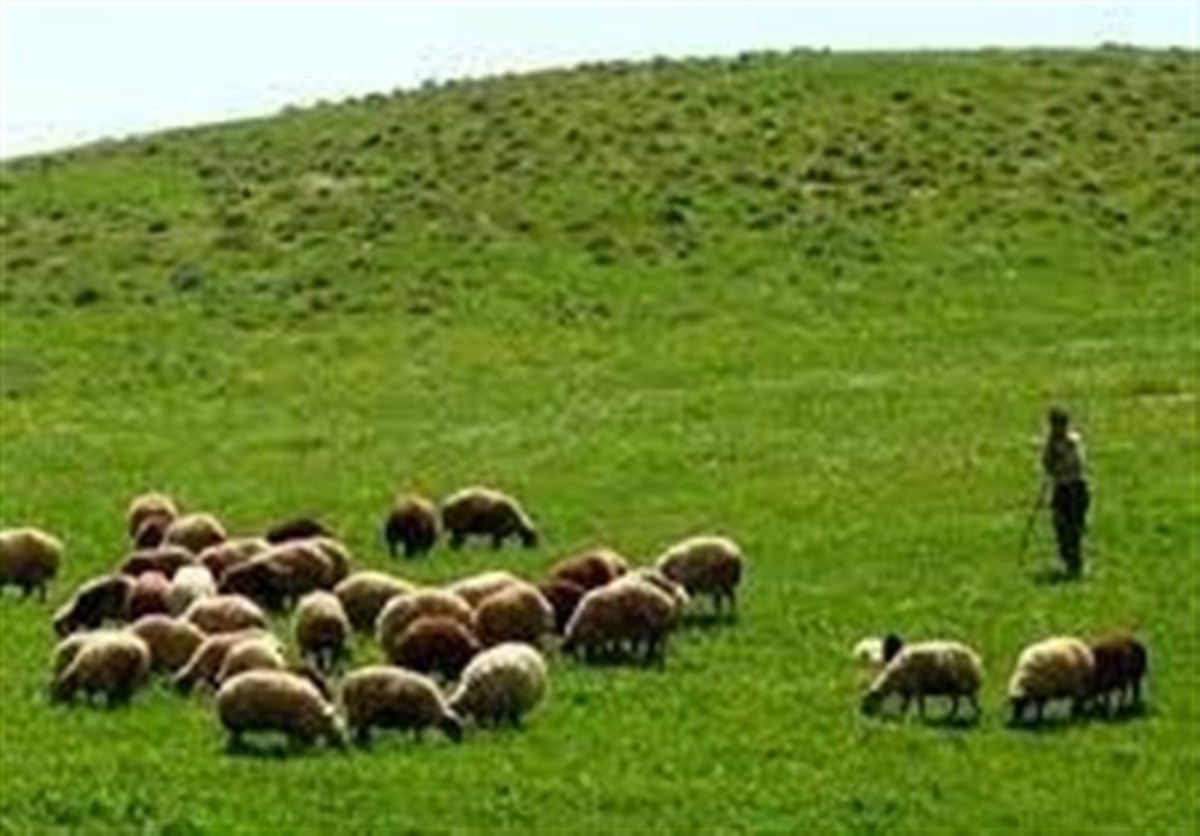 «معجزه آبخیزداری» |کاهش ۶ برابری فرسایش خاک با مدیریت صحیح مراتع