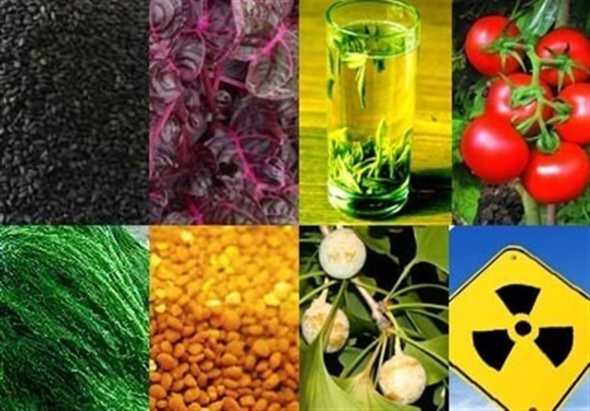 خبر خوب برای معامله‌گران محصول‌های کشاورزی در بورس/ معافیت مالیاتی محصول‌های کشاورزی فرآوری نشده
