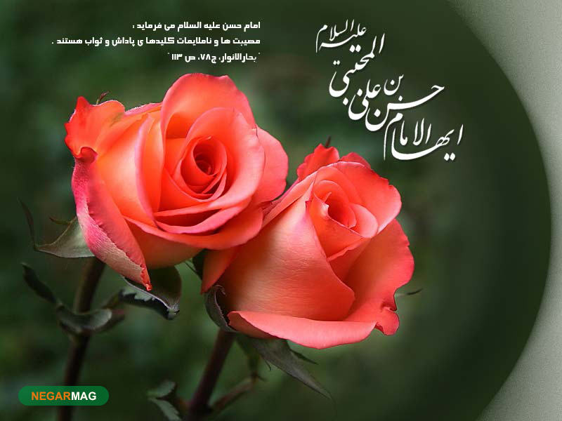 پیام و متن تبریک ولادت امام حسن مجتبی به همراه عکس