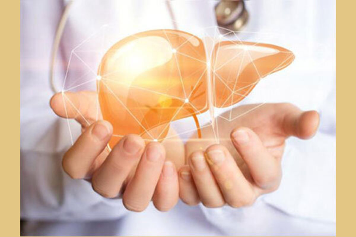 شیرین کننده‌های مصنوعی به توانایی سم زدایی کبد آسیب می‌رسانند