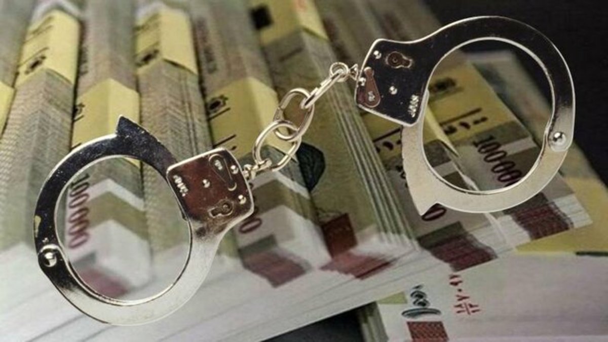 جزئیات طرح اصلاح قانون مجازات اخلالگران نظام اقتصادی از زبان نماینده تهران