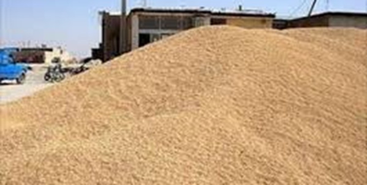 خطر جدی درگیری نظامی روسیه و اوکراین برای تامین امنیت غذایی در جهان