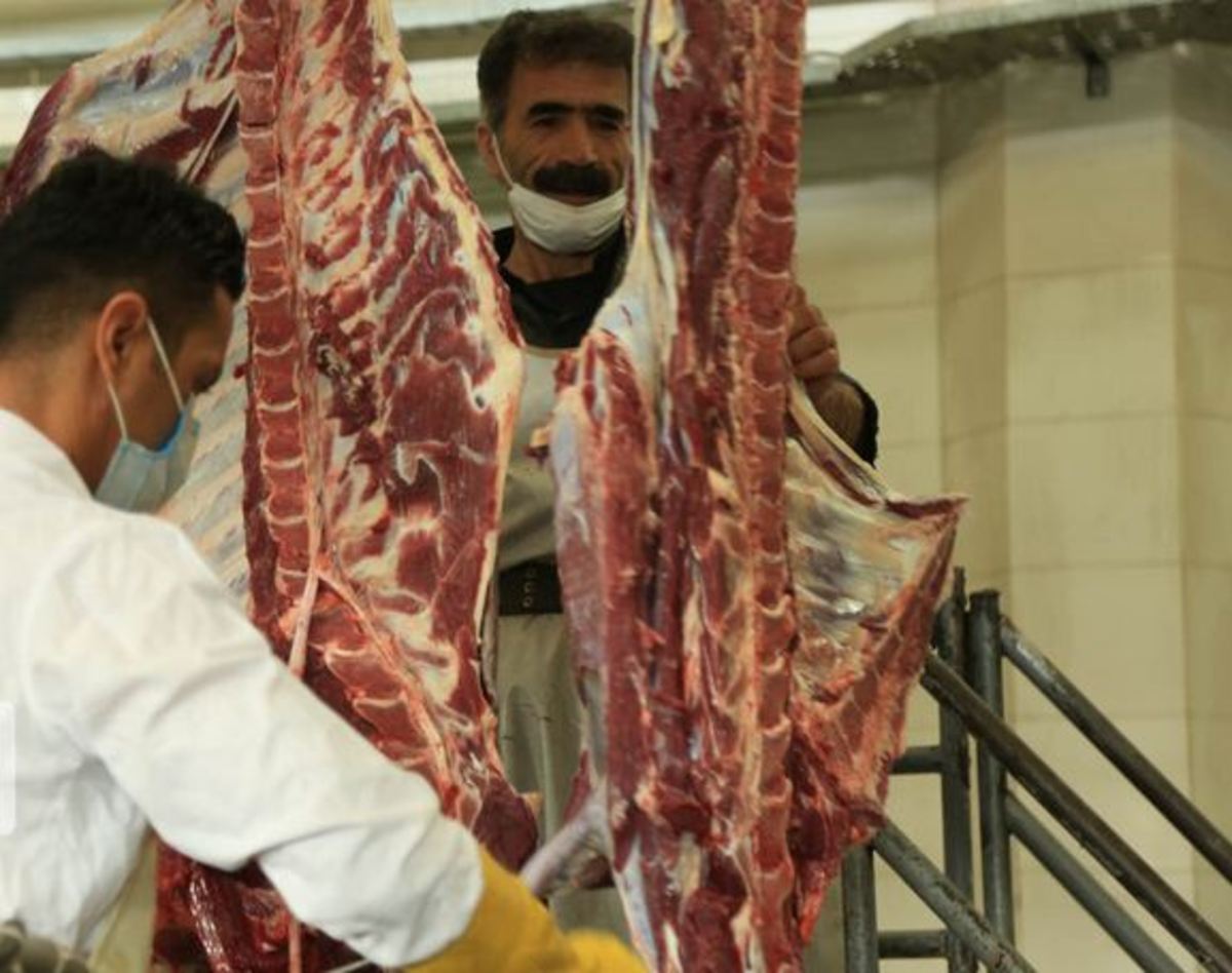 ثبات قیمت گوشت قرمز طی دو هفته اخیر در بازار