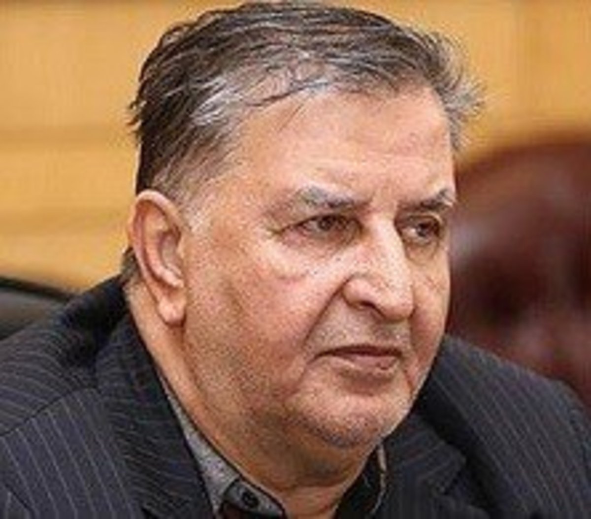 یک فعال سیاسی: اصولگرایان کمی در دولت هستند