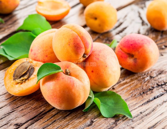 با مصرف این ۱۰ ماده غذایی از استرس و انواع بیماریها دور شوید با مصرف این ۱۰ ماده غذایی از استرس و انواع بیماریها دور شوید