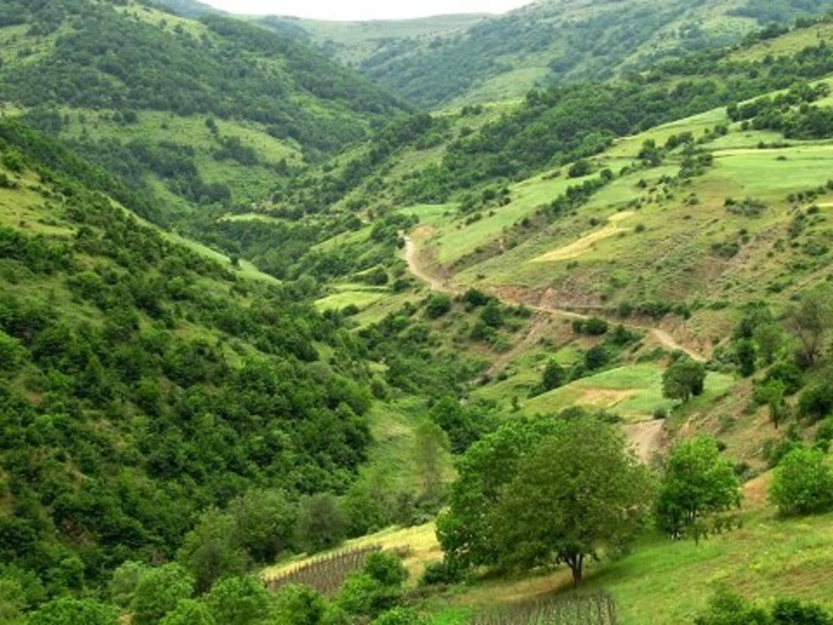 پایش هوشمند اراضی منابع طبیعی با به کارگیری «پنجره واحد زمین»
