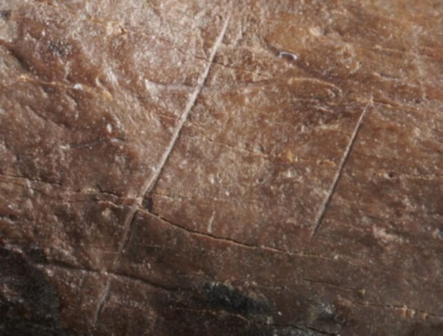 پوشش انسان‌ها در ۳۲۰ هزار سال قبل چگونه بود؟