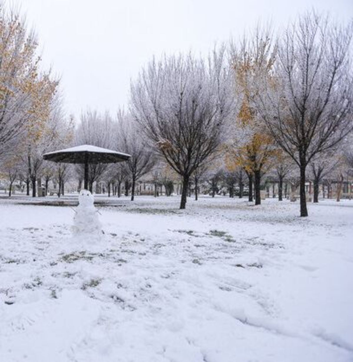 آغاز بارش‌های زمستانی در قزوین