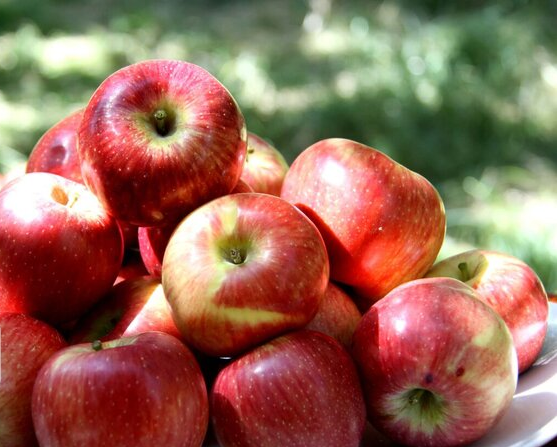 نگاهی به یکی از مهمترین علل مرگ و میر در جهان نگاهی به یکی از مهمترین علل مرگ و میر در جهان