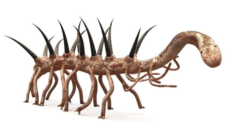 چرا توهم بینایی اتفاق میافتد؟ چرا توهم بینایی اتفاق میافتد؟