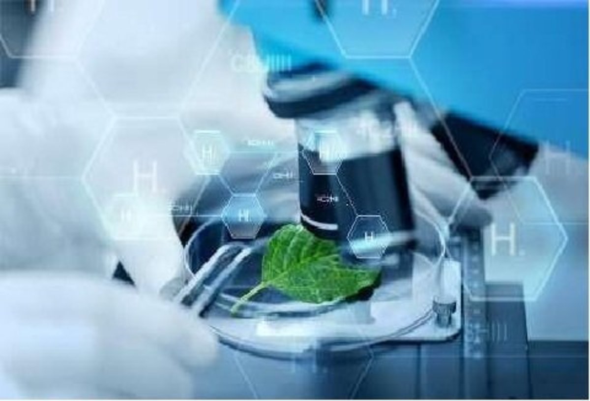شرایط جذب شرکت‌های فناور برای استقرار در پردیس بیوتکنولوژی پژوهشگاه ژنتیک