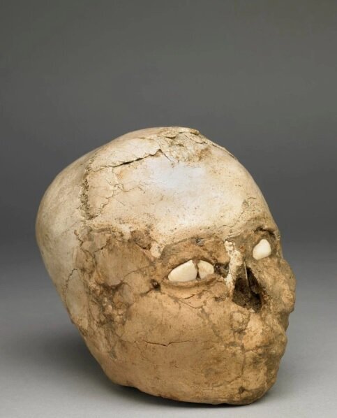 چهره این جمجمه مرموز ۹ هزار ساله بالاخره بازسازی شد+تصاویر